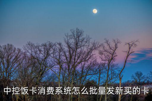中控飯卡消費系統怎么批量發新買的卡