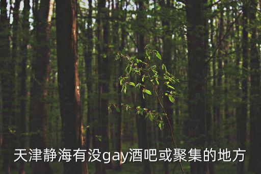 天津靜海有沒gay酒吧或聚集的地方