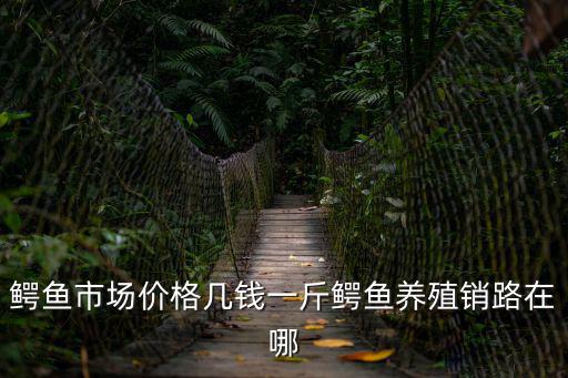 鱷魚市場價(jià)格幾錢一斤鱷魚養(yǎng)殖銷路在哪