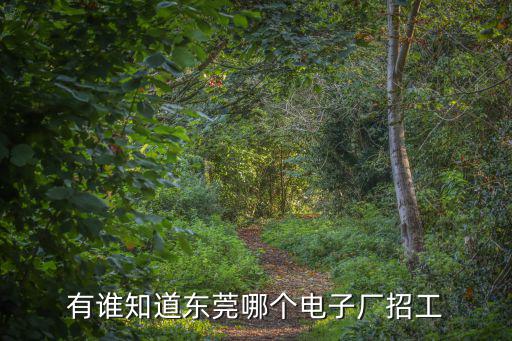 有誰知道東莞哪個電子廠招工