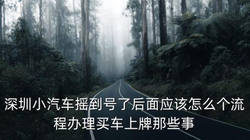 深圳小汽車搖到號(hào)了后面應(yīng)該怎么個(gè)流程辦理買(mǎi)車上牌那些事