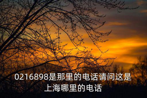 0216898是那里的電話請(qǐng)問(wèn)這是上海哪里的電話