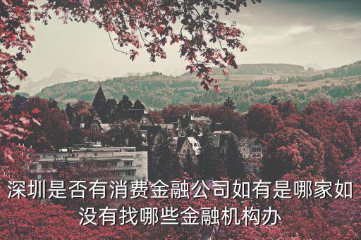 深圳是否有消費金融公司如有是哪家如沒有找哪些金融機構辦