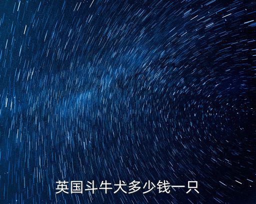 英國斗牛犬多少錢一只