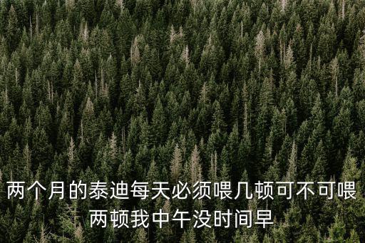 兩個月的泰迪每天必須喂幾頓可不可喂兩頓我中午沒時間早