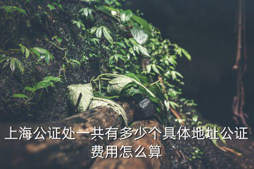 上海公證處一共有多少個具體地址公證費用怎么算