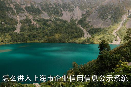 怎么進入上海市企業信用信息公示系統