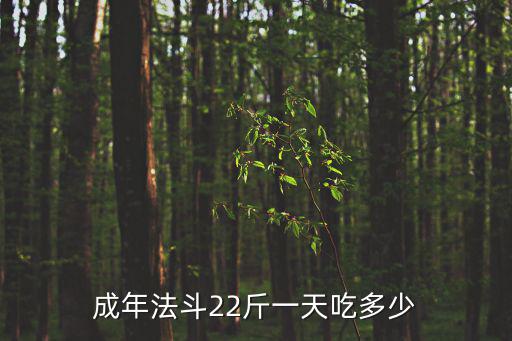成年法斗一次吃多少，成年法斗22斤一天吃多少