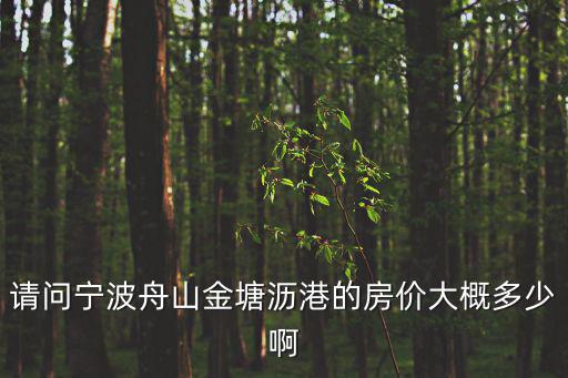 請問寧波舟山金塘瀝港的房價大概多少啊