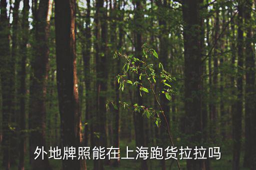 外地牌照能在上海跑貨拉拉嗎