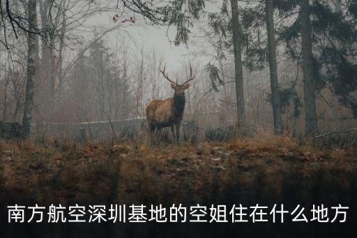 南方航空深圳基地的空姐住在什么地方