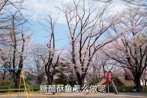 糖醋酥魚怎么做呢