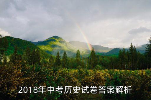 2018年中考?xì)v史試卷答案解析