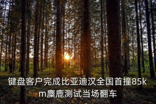 東莞比亞迪撞大眾，一天大眾出去遇見比亞迪 這個段子完整版是啥樣的