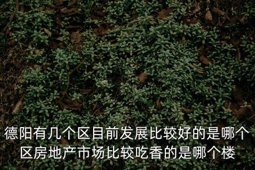 德陽有幾個區(qū)目前發(fā)展比較好的是哪個區(qū)房地產(chǎn)市場比較吃香的是哪個樓