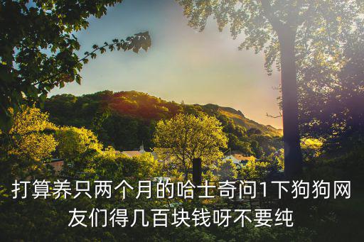 打算養(yǎng)只兩個(gè)月的哈士奇問1下狗狗網(wǎng)友們得幾百塊錢呀不要純