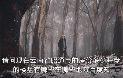 請問現在云南省昭通市的房價多少開盤的樓盤有哪些在哪些地方百度知