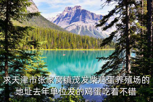 求天津市張家窩鎮(zhèn)茂發(fā)柴雞蛋養(yǎng)殖場(chǎng)的地址去年單位發(fā)的雞蛋吃著不錯(cuò)