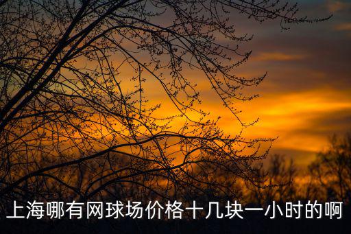 上海市康東網球 價格，上海哪里學網球最好在市區的別太貴吧1000以下的