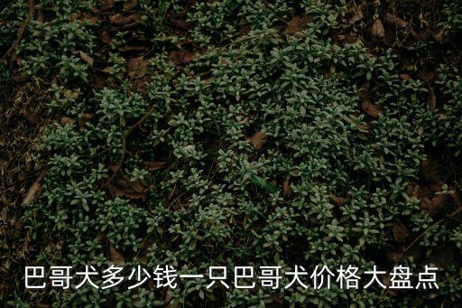 巴哥犬多少錢一只巴哥犬價格大盤點