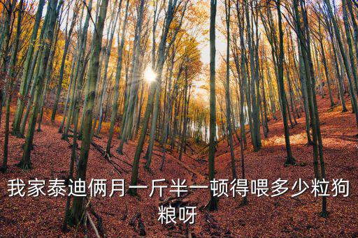 我家泰迪倆月一斤半一頓得喂多少粒狗糧呀