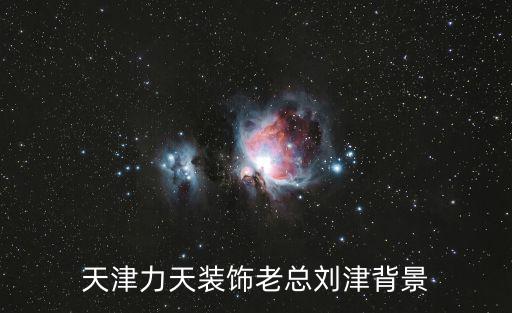 天津力天裝飾老總劉津背景