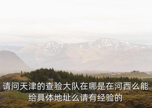 請問天津的查驗大隊在哪是在河西么能給具體地址么請有經驗的