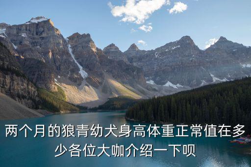 2個月幼犬體重是多少錢，兩個月的比特犬體重大概是多少