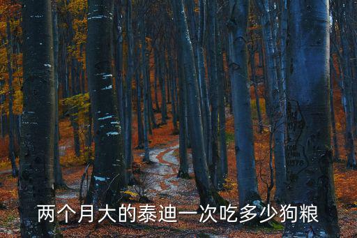 兩個月大的泰迪一次吃多少狗糧