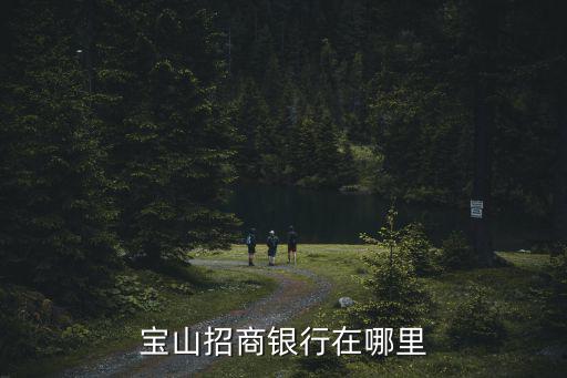 寶山招商銀行在哪里