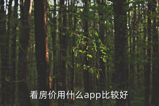 看房價用什么app比較好