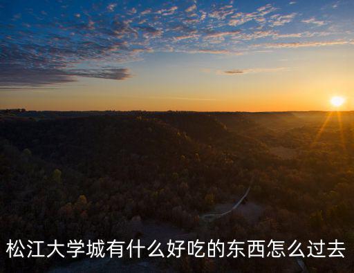 松江大學(xué)城有什么好吃的東西怎么過(guò)去