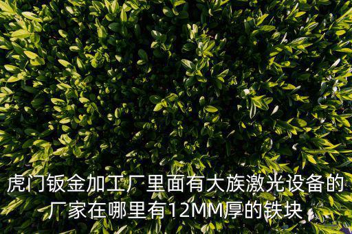 虎門鈑金加工廠里面有大族激光設備的廠家在哪里有12MM厚的鐵塊
