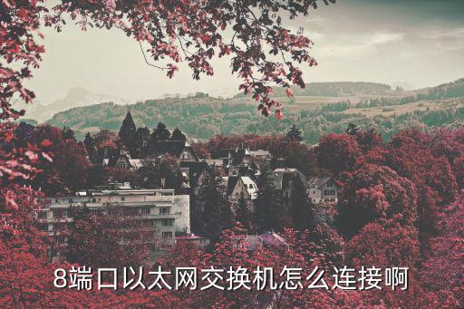 8端口以太網交換機怎么連接啊