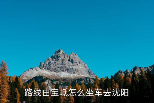 路線由寶坻怎么坐車去沈陽
