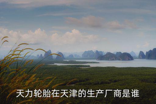 天力輪胎在天津的生產廠商是誰