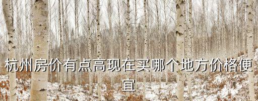 杭州房價有點高現在買哪個地方價格便宜