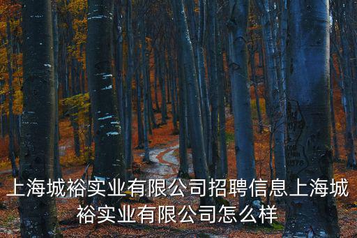 上海城裕實(shí)業(yè)有限公司招聘信息上海城裕實(shí)業(yè)有限公司怎么樣