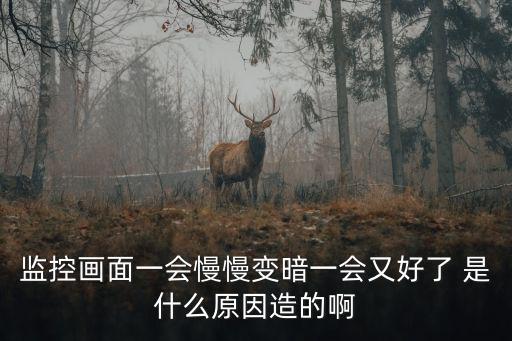 監控畫面一會慢慢變暗一會又好了 是什么原因造的啊