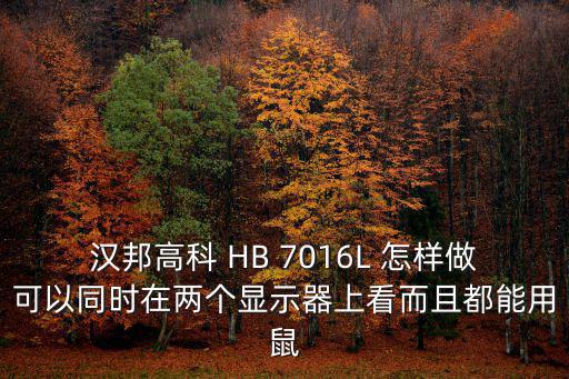hb7016怎么設置，漢邦高科如何遠程監(jiān)控請詳細說明操作過程型號HB7016V域名