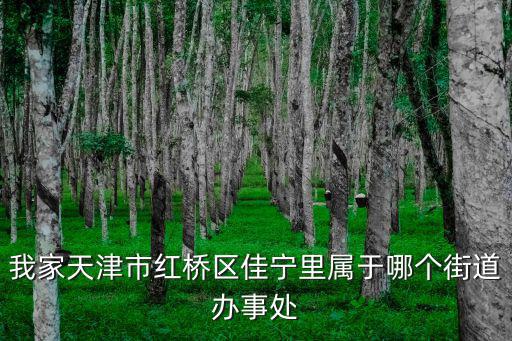我家天津市紅橋區佳寧里屬于哪個街道辦事處