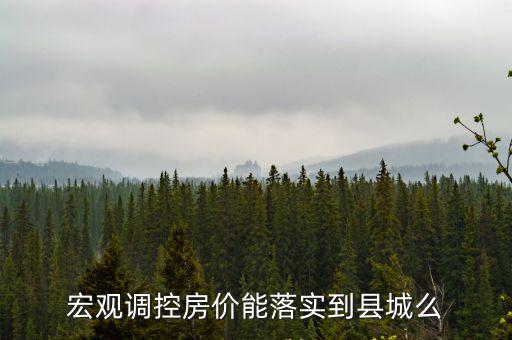 宏觀調控房價能落實到縣城么