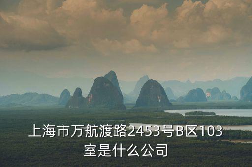 上海市裘博有限公司，上海市浦東新區川沙路855號是什么公司