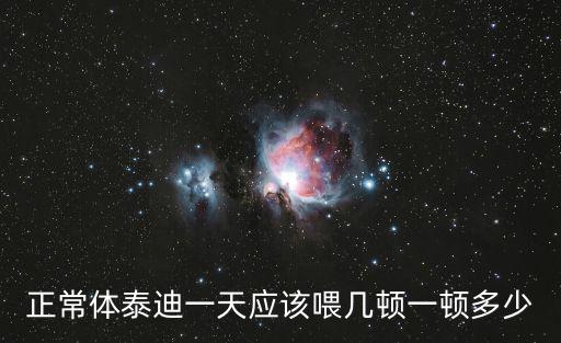正常體泰迪一天應該喂幾頓一頓多少