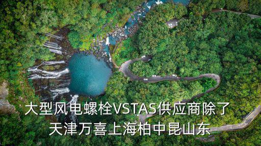 大型風電螺栓VSTAS供應商除了 天津萬喜上海柏中昆山東