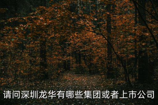 請問深圳龍華有哪些集團或者上市公司