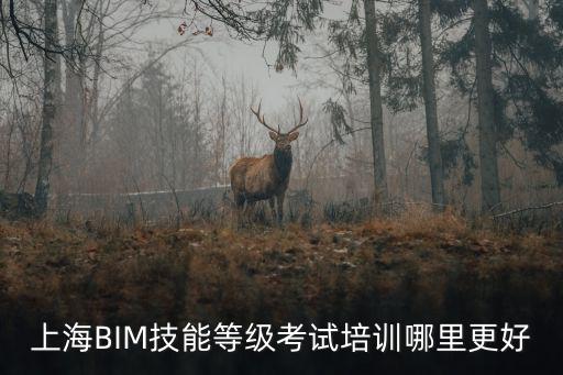 上海市專利工作者培訓試卷，上海BIM技能等級考試培訓哪里更好
