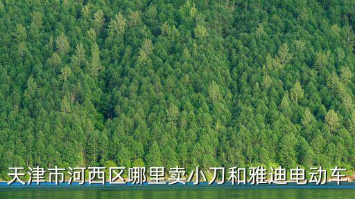 天津市河西區哪里賣小刀和雅迪電動車