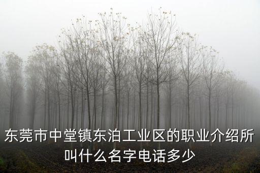 東莞市中堂鎮(zhèn)東泊工業(yè)區(qū)的職業(yè)介紹所叫什么名字電話多少