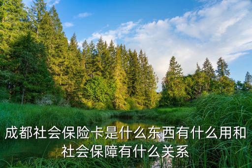成都社會保險卡是什么東西有什么用和社會保障有什么關系